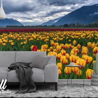 Cveće foto tapeta tulipani - Tapete za zid Cveće
