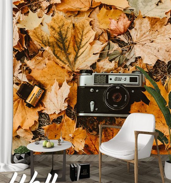 Foto tapeta fotoaparat 1 - Tapete za zid Vintage
