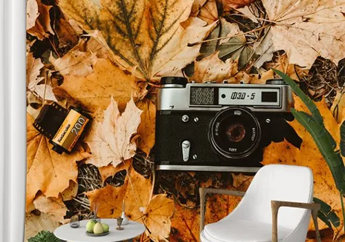 Foto tapeta fotoaparat 1 - Tapete za zid Vintage