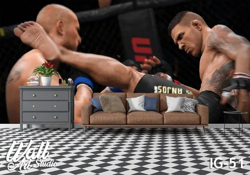 Foto tapeta UFC - Tapete za zid Igrice