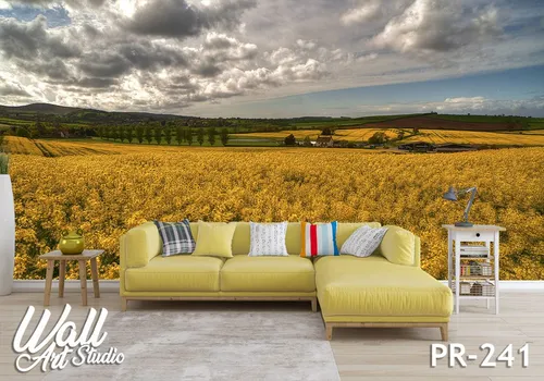Foto tapeta žitno polje - Tapete za zid Priroda