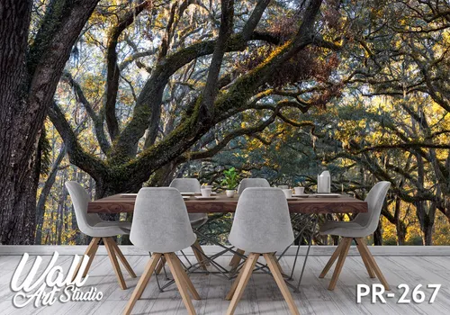 Foto tapeta krošnje - Tapete za zid Priroda