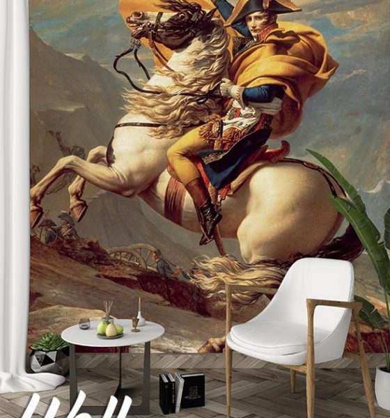 Foto tapeta Napoleon - Tapete za zid Reprodukcije