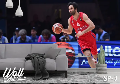 Foto tapeta Miloš Teodosić - Tapete za zid Reprodukcije