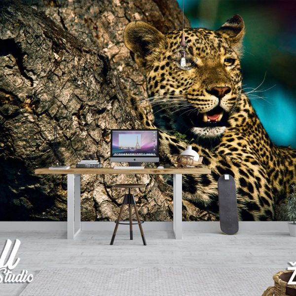 Foto tapeta leopard - Tapete za zid Životinje
