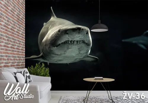 Foto tapeta ajkula - Tapete za zid Životinje