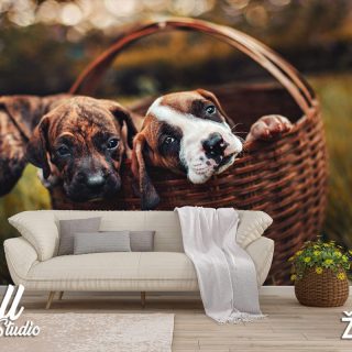 Foto tapeta psi u korpi - Tapete za zid Životinje