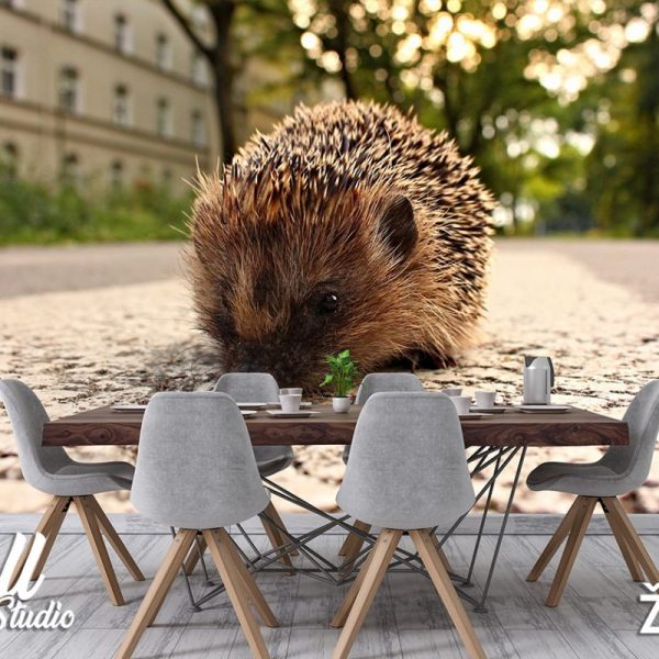 Foto tapeta jež - Tapete za zid Životinje