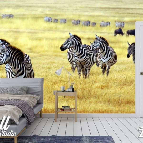 Foto tapeta zebre - Tapete za zid Životinje
