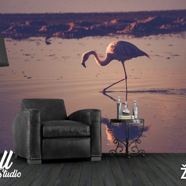 Foto tapeta flamingo - Tapete za zid Životinje