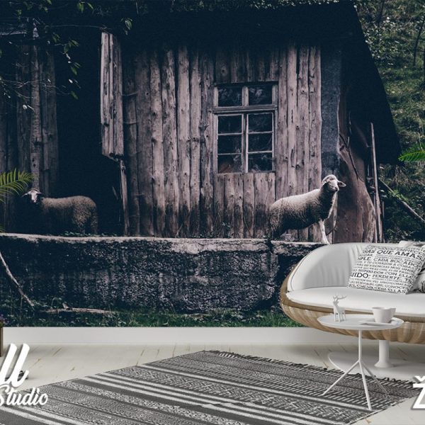 Foto tapeta ovce - Tapete za zid Životinje