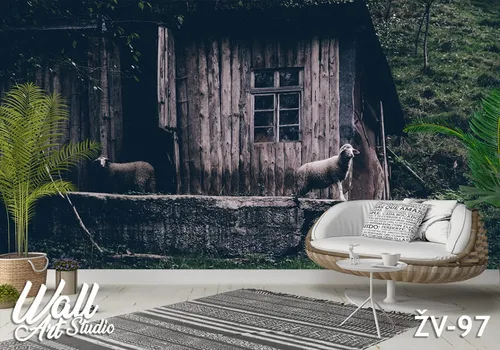 Foto tapeta ovce - Tapete za zid Životinje