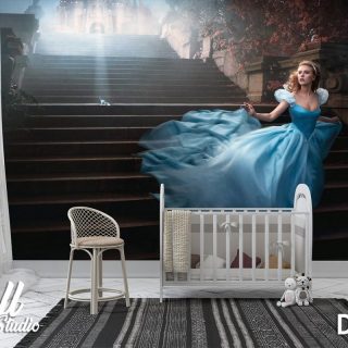 Foto tapeta Pepeljuga 1 - Uncategorized