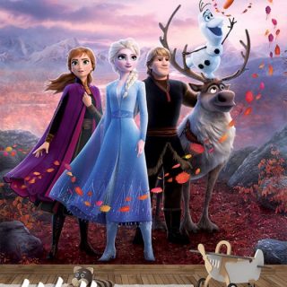 Foto tapeta Frozen junaci 3 - Uncategorized