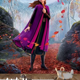 Foto tapeta Ana Frozen 3 - Uncategorized