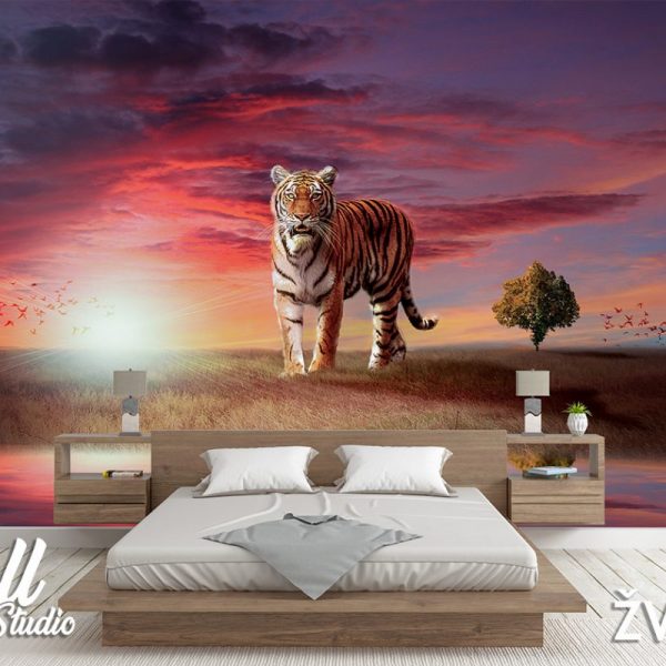Foto tapeta tigar - Tapete za zid Životinje